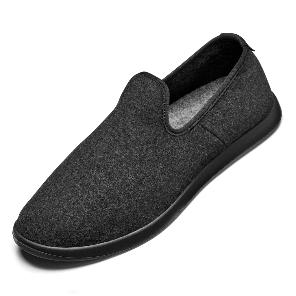 Allbirds Lounger Review