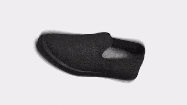 roths vs allbirds