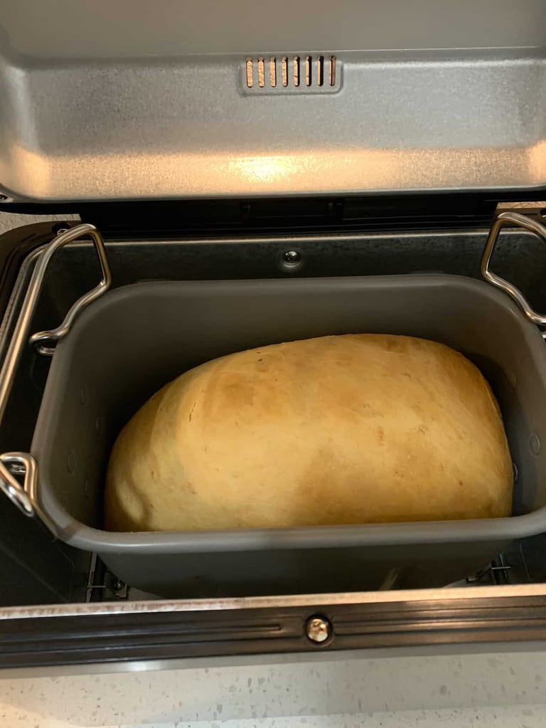 Zojirushi Virtuoso bread in the oven
