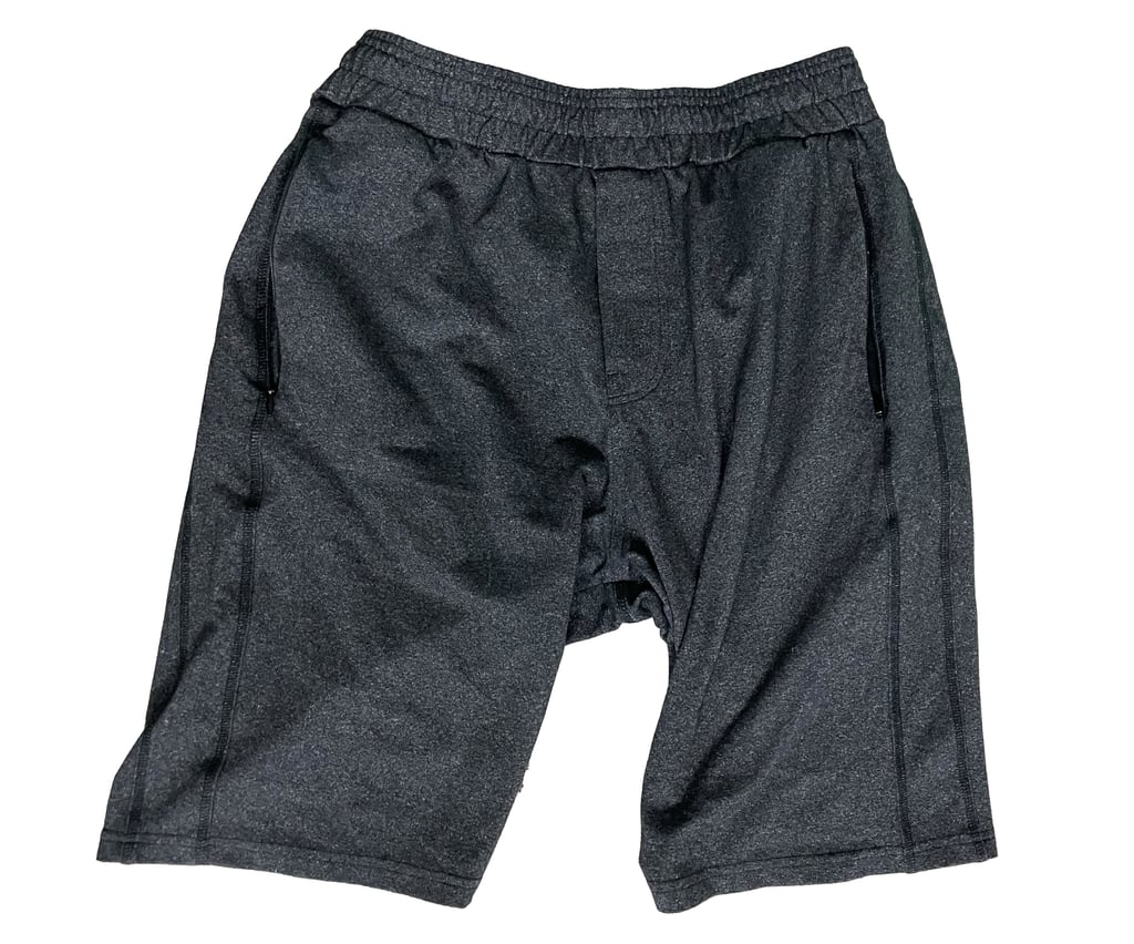 public rec all day ever day shorts