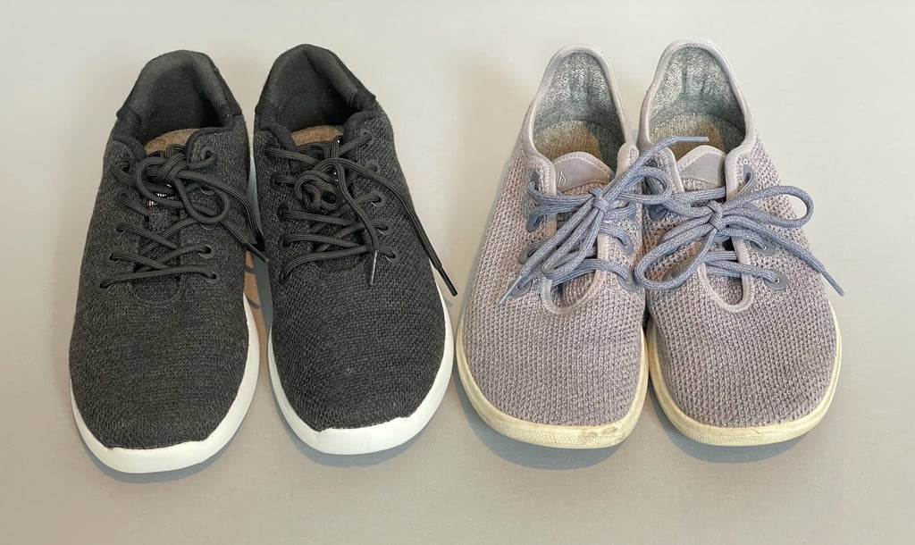 Giesswein vs allbirds