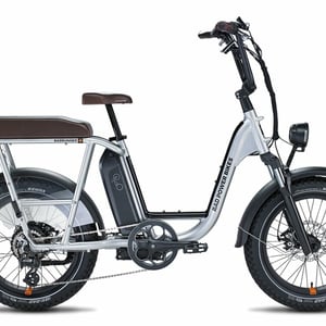 it depends on what you are looking for! the most versatile is probably the radrunner plus – because it has multiple gears, a built-in passenger seat, decently large tires, and a front suspension fork