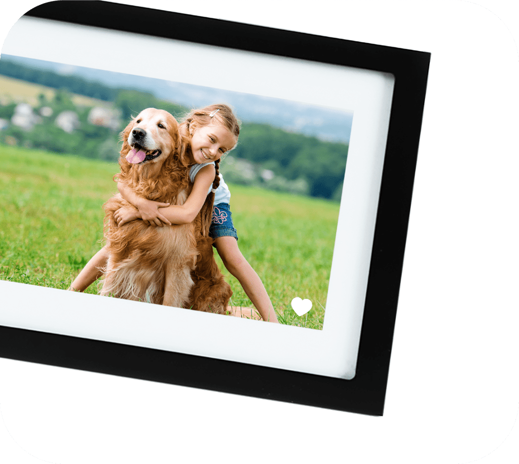 easy to “love” a photo – just hit the heart button