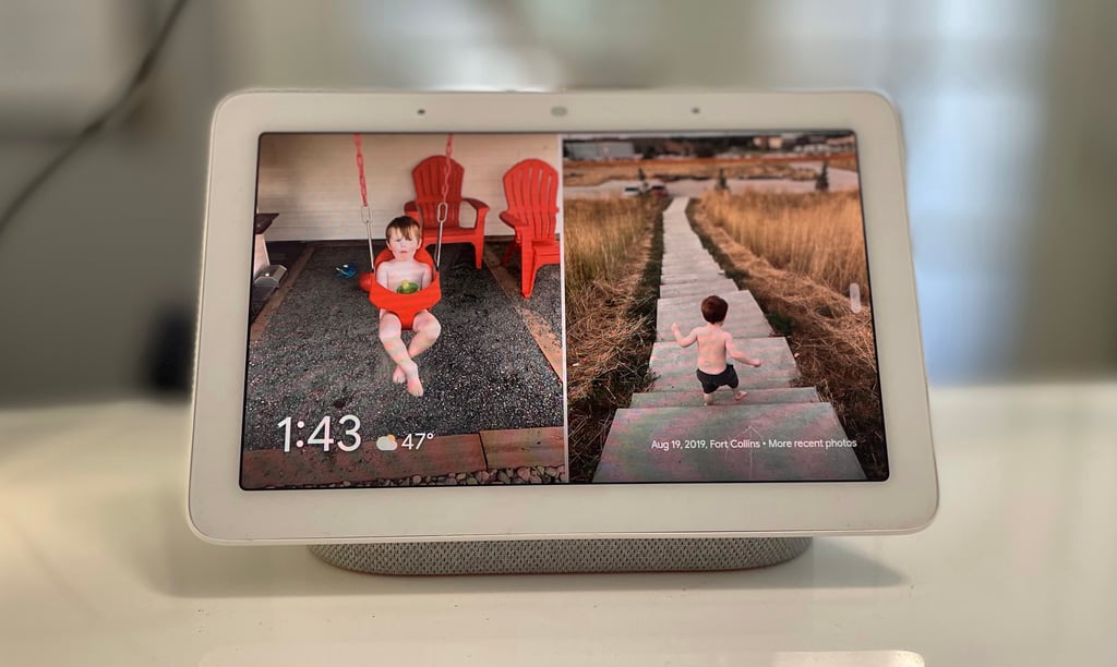 the google nest home