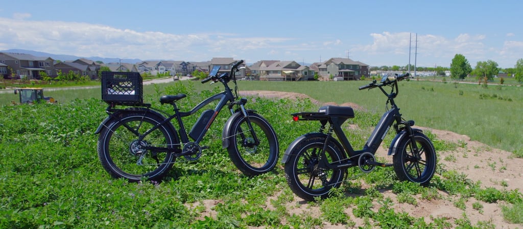 the perfect ebike is out there for you