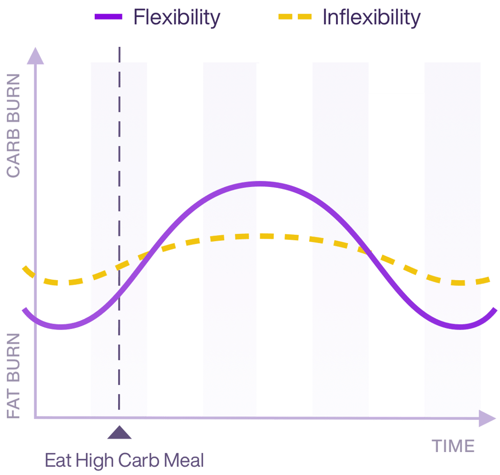 https://wetried.it/cdn-cgi/imagedelivery/2TqHVWJc_vpFBiW-iQAMcw/wetried.it/2021/06/lumen-metabolic-flexibility-1.png/w=1024,h=973