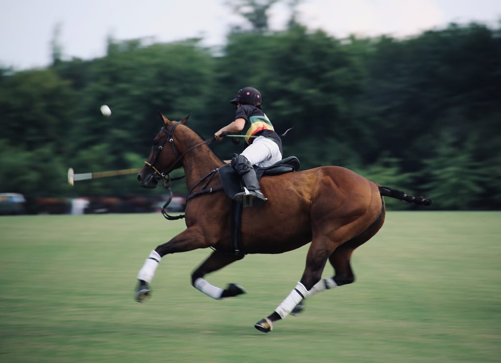 ode to the polo 1