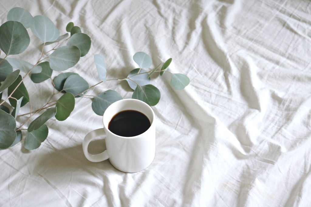 looking for the best eucalyptus sheets? look no further than here for the best eucalyptus sheets!