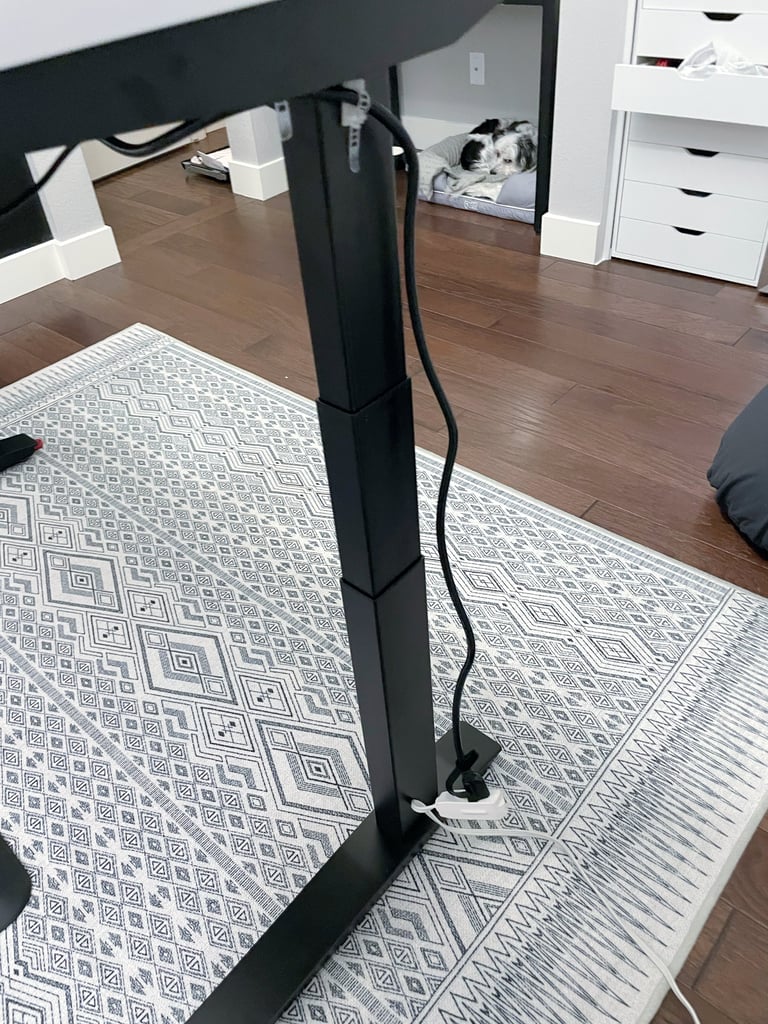 this cord could be better integrated into the leg (also pictured: grumpy dog)