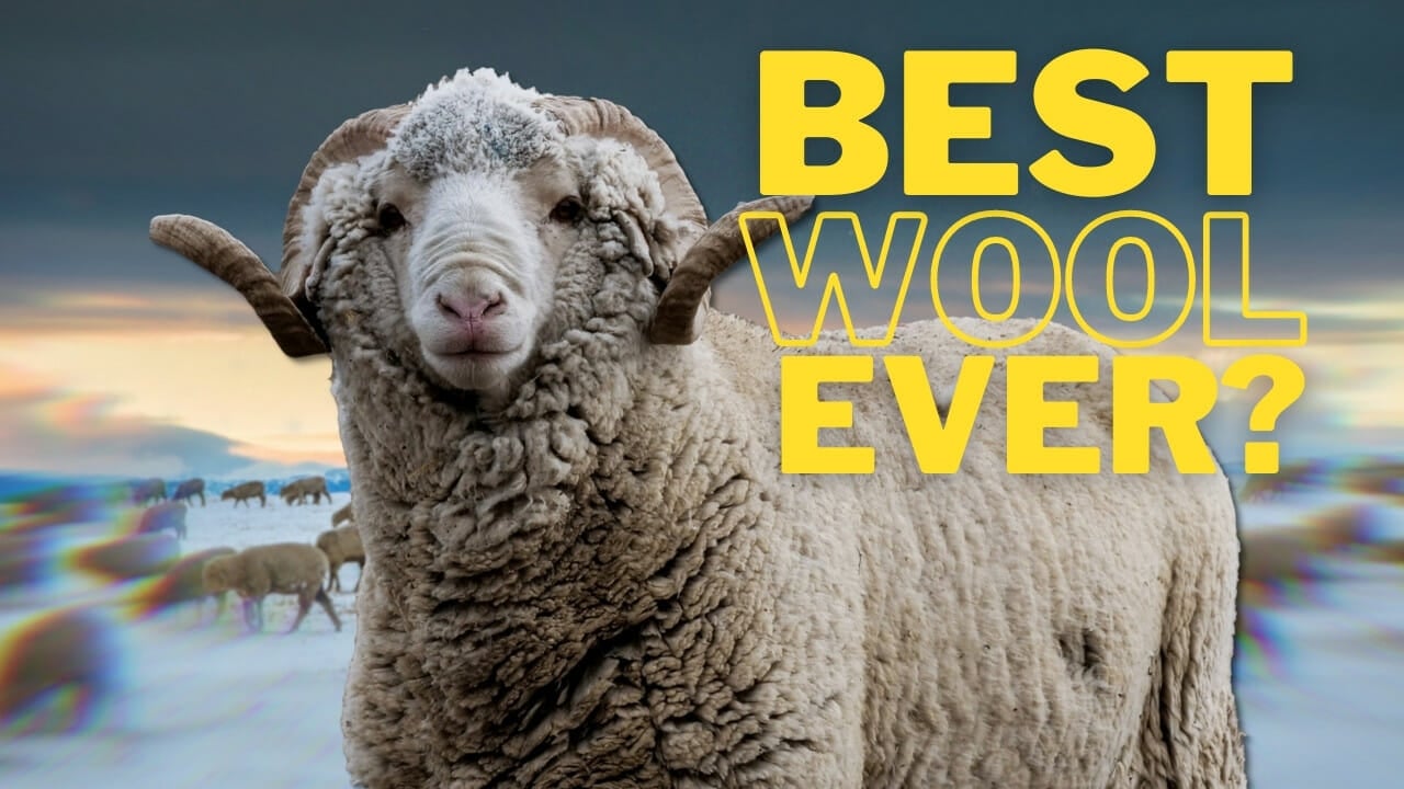 Is Merino Wool Itchy?  Duckworth Merino Wool Clothing