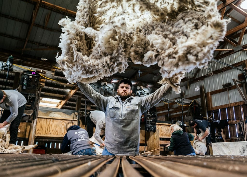 these ranchers have an amazing, deep understanding of the textile industry