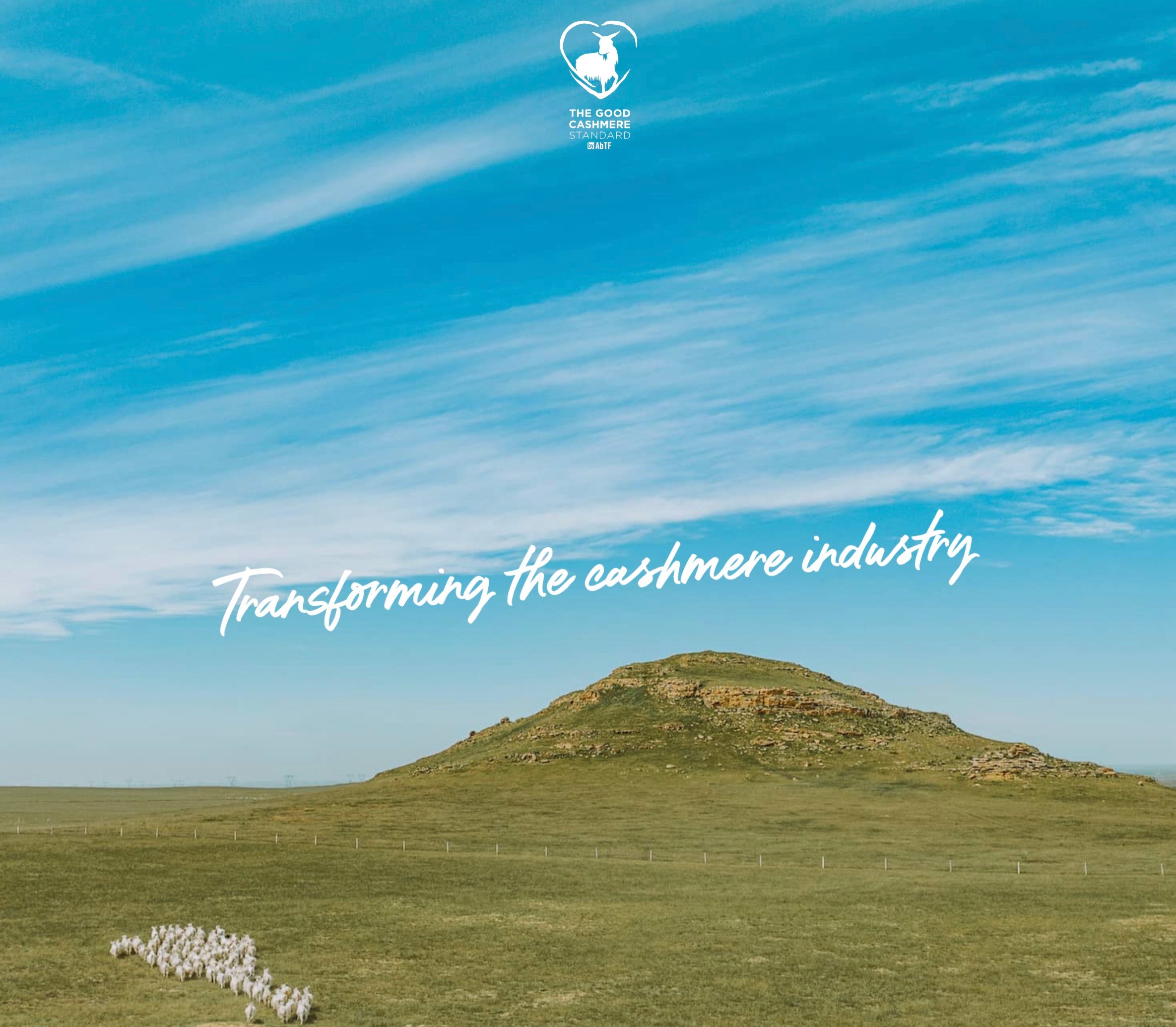 Quince Review: Under-the-radar brand - but any good? 8 CleanShot 2025 11 02 at 20.54.12