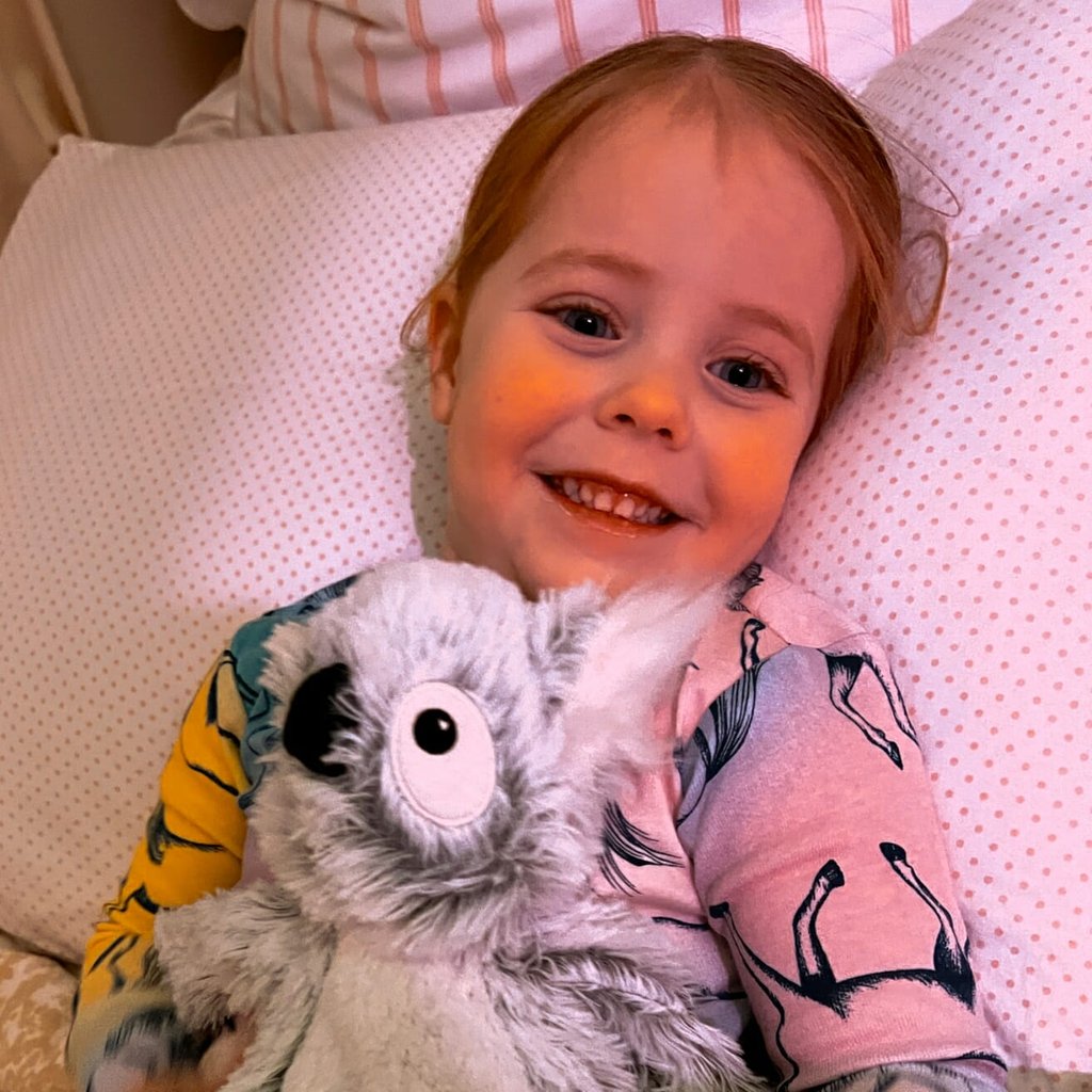 Warmies Stuffed Animals Review