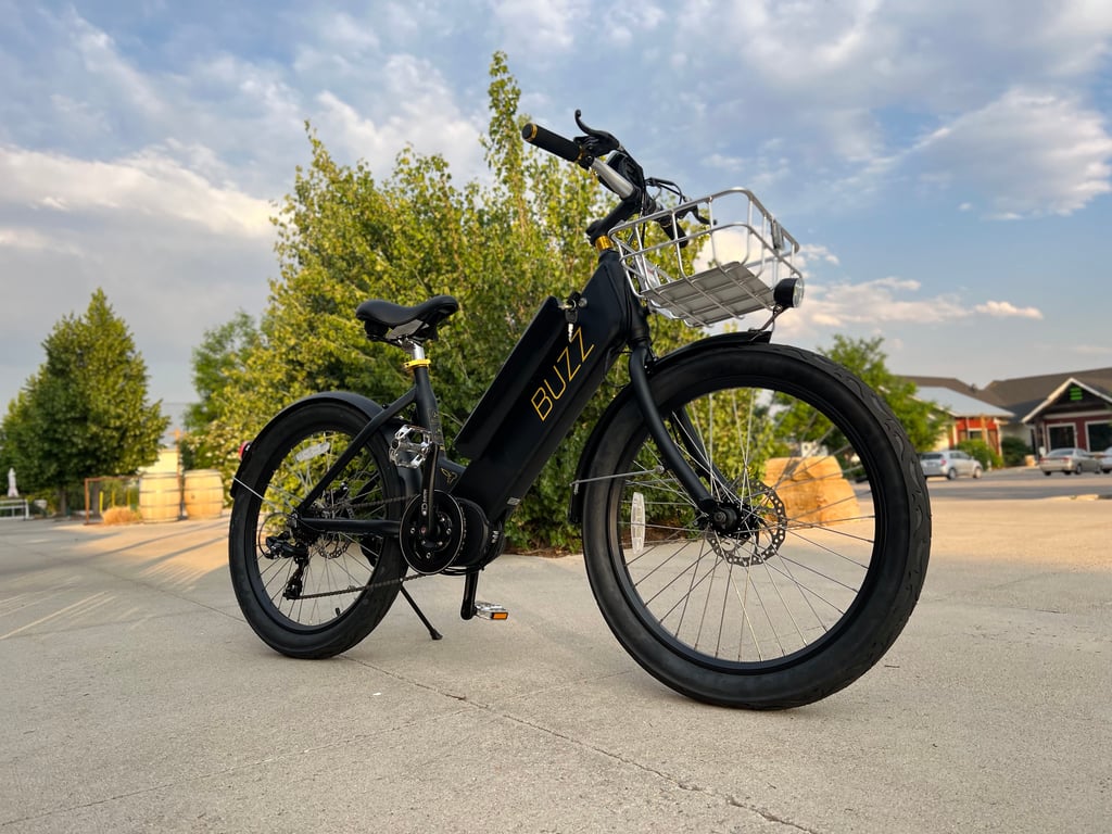 the giant middle area is a dead-giveaway this is a mid-drive ebike