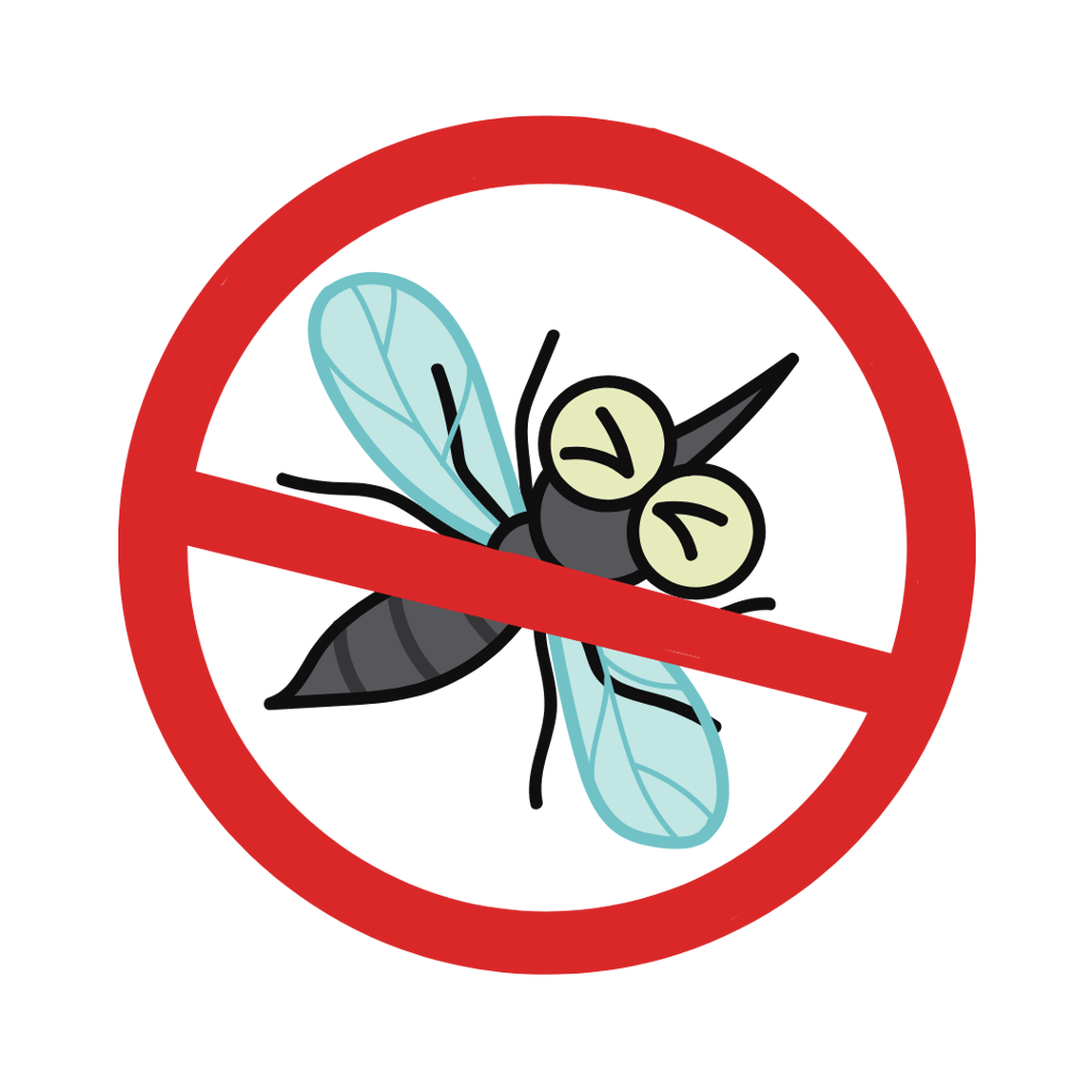 no mosquito