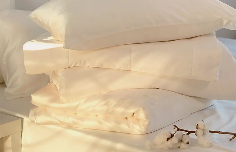 lilysilk bed review