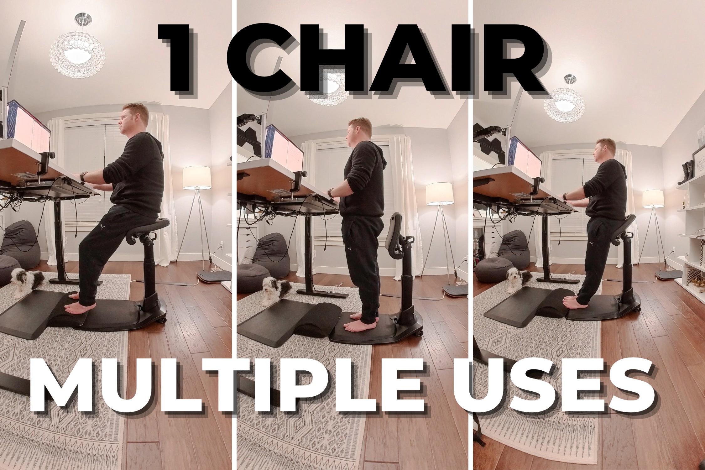  Best Standing Desk Chair for Leaning and Posture LeanRite  Elite Ergonomic Back Pain Relief Includes Anti Fatigue mat (Includes Xtra  seat-Cushion) : Office Products