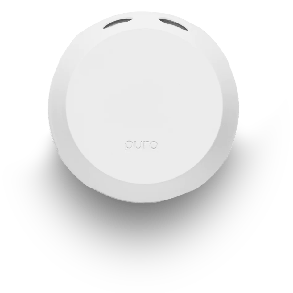 meet the brand new pura in our 100% honest pura review