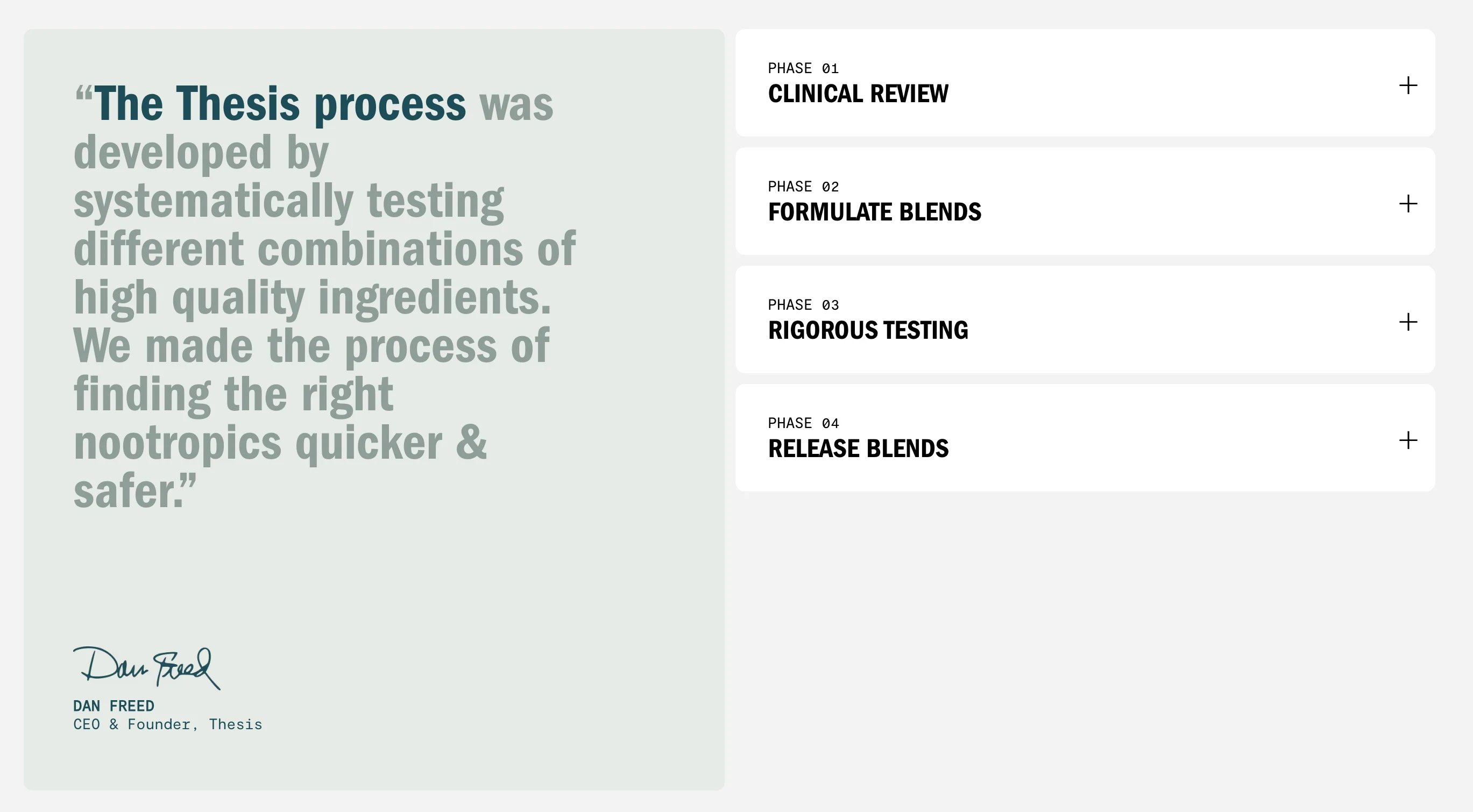 thesis process