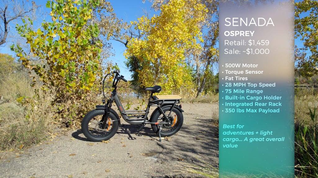 Senada Osprey eBike Review