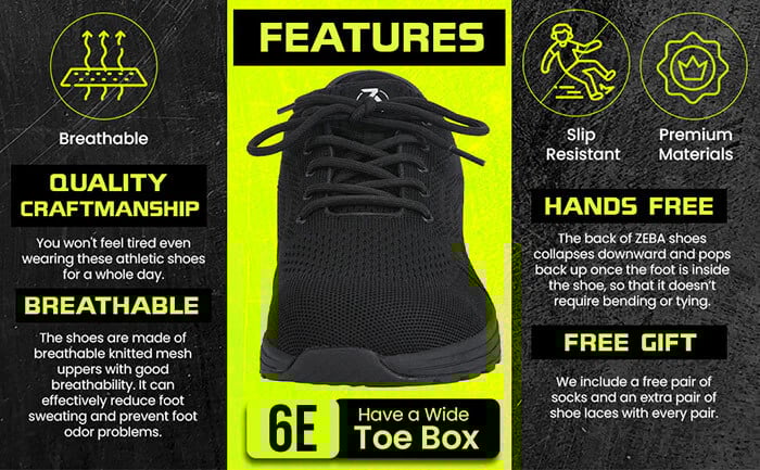 zebra features
