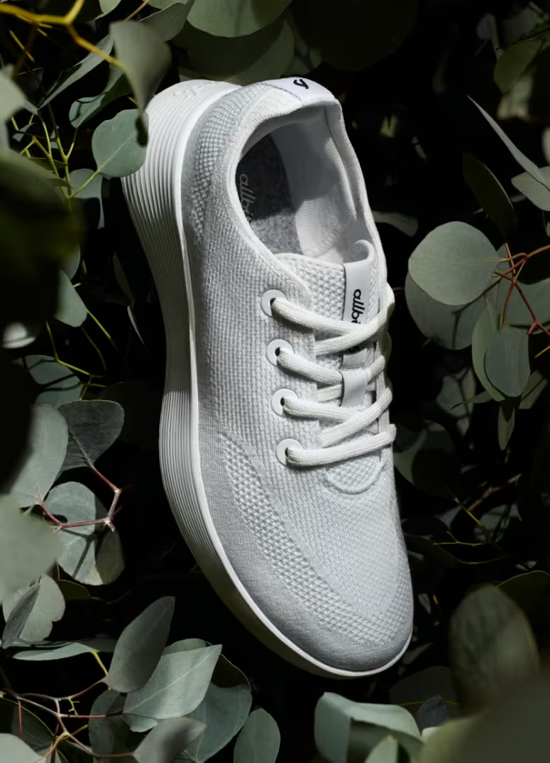 Allbirds Tree runner go review