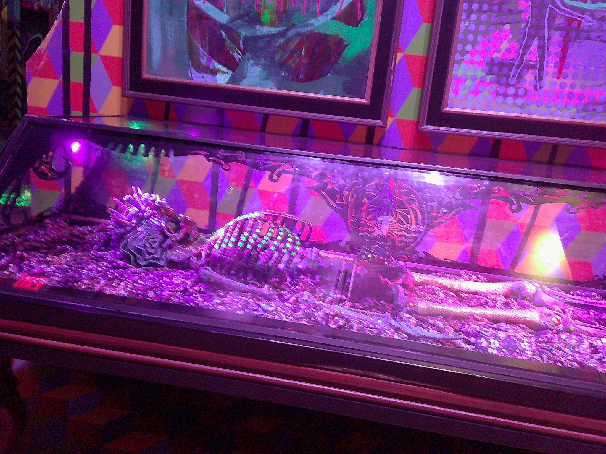 DSCF0049
