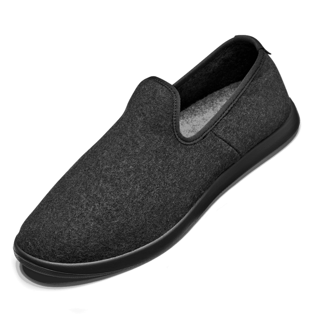 Allbirds Lounger Review