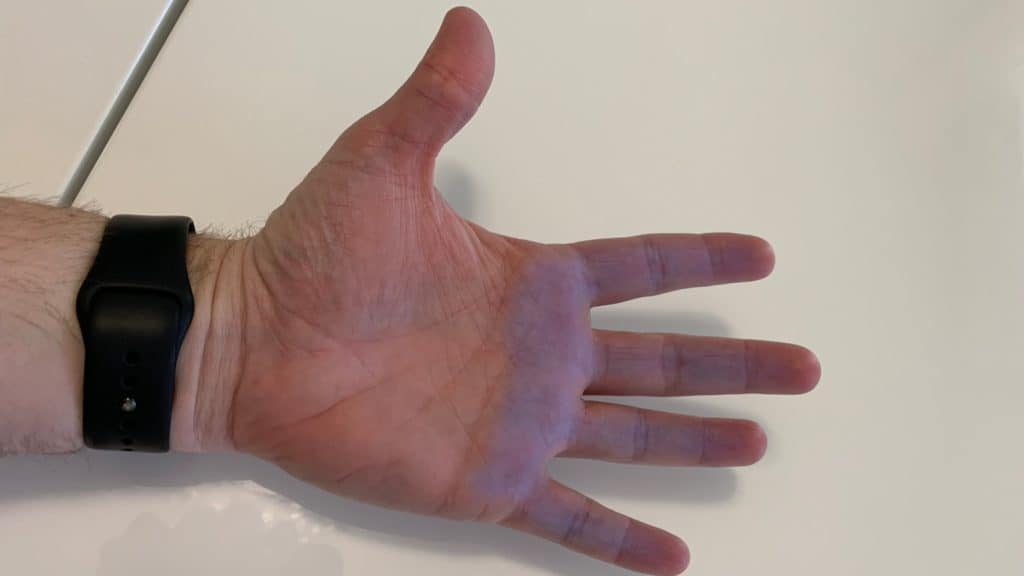 Duer Review: no blue hands!