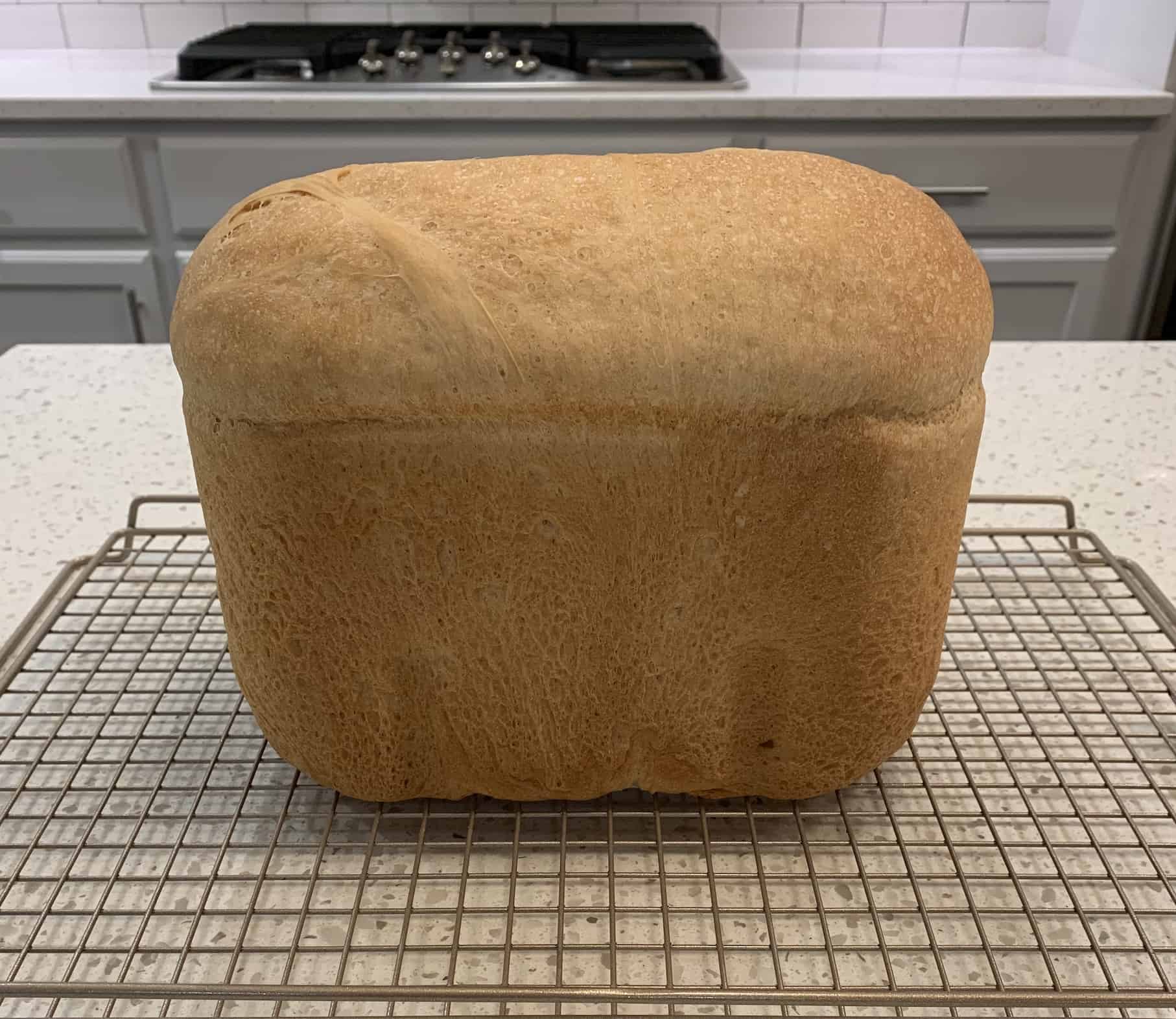 Zojirushi Breadmaker Review - Odd Name, Serious Breadmaker?