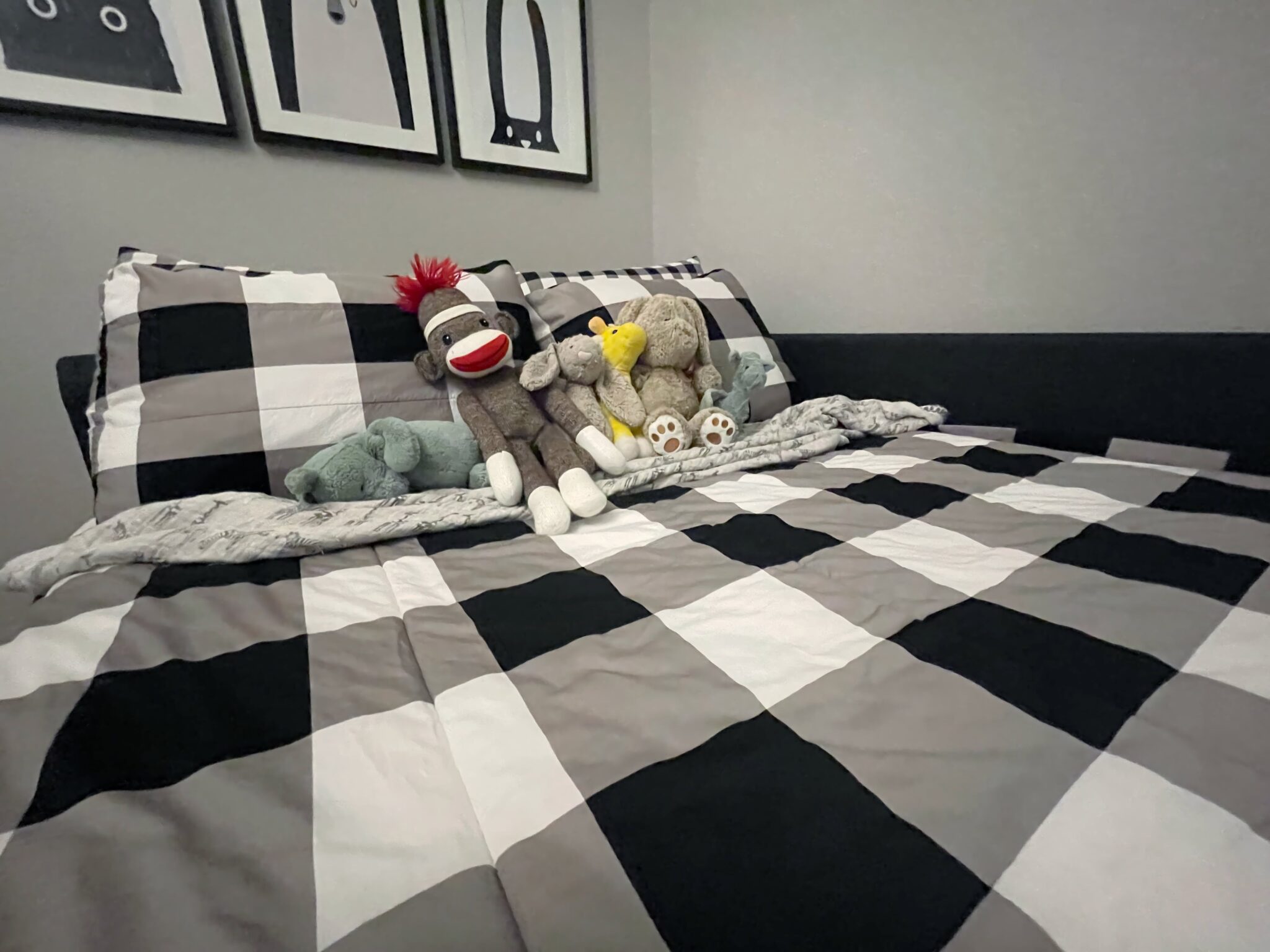 Beddy's Review Does It Really Live Up To The Hype?