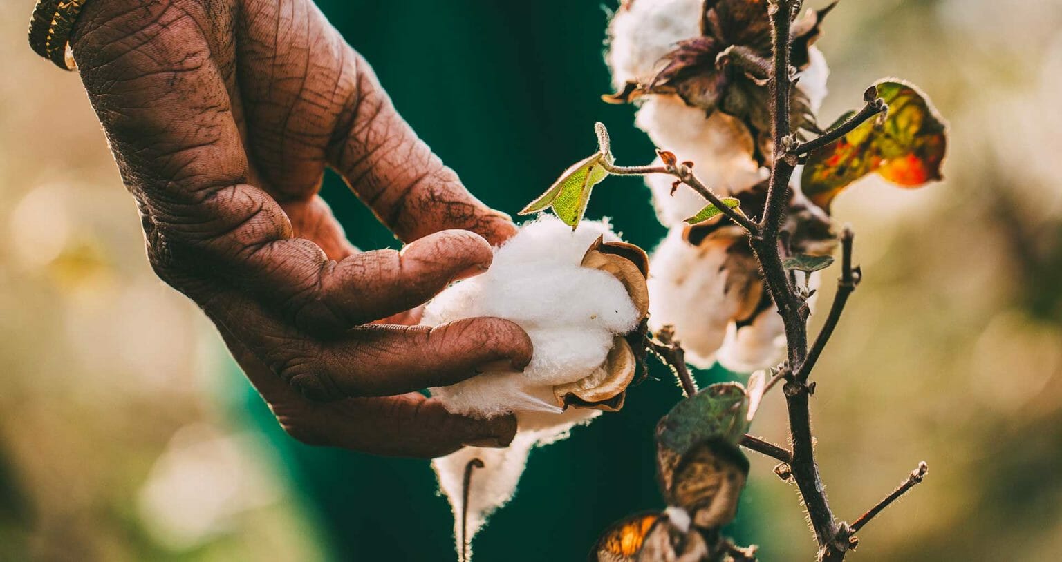 True Classic Tees Review We've Tried 23+ Styles