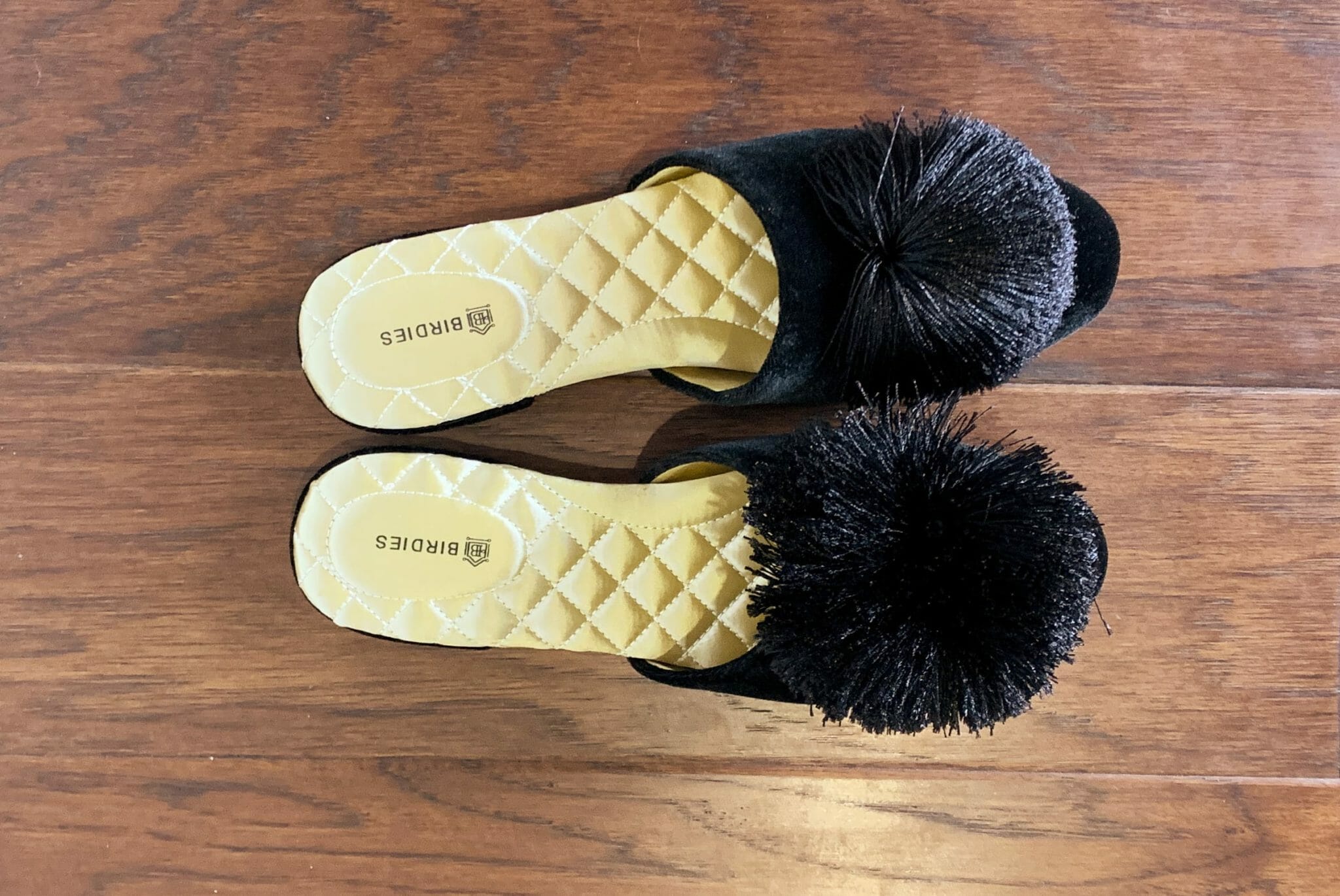birdies the songbird slipper