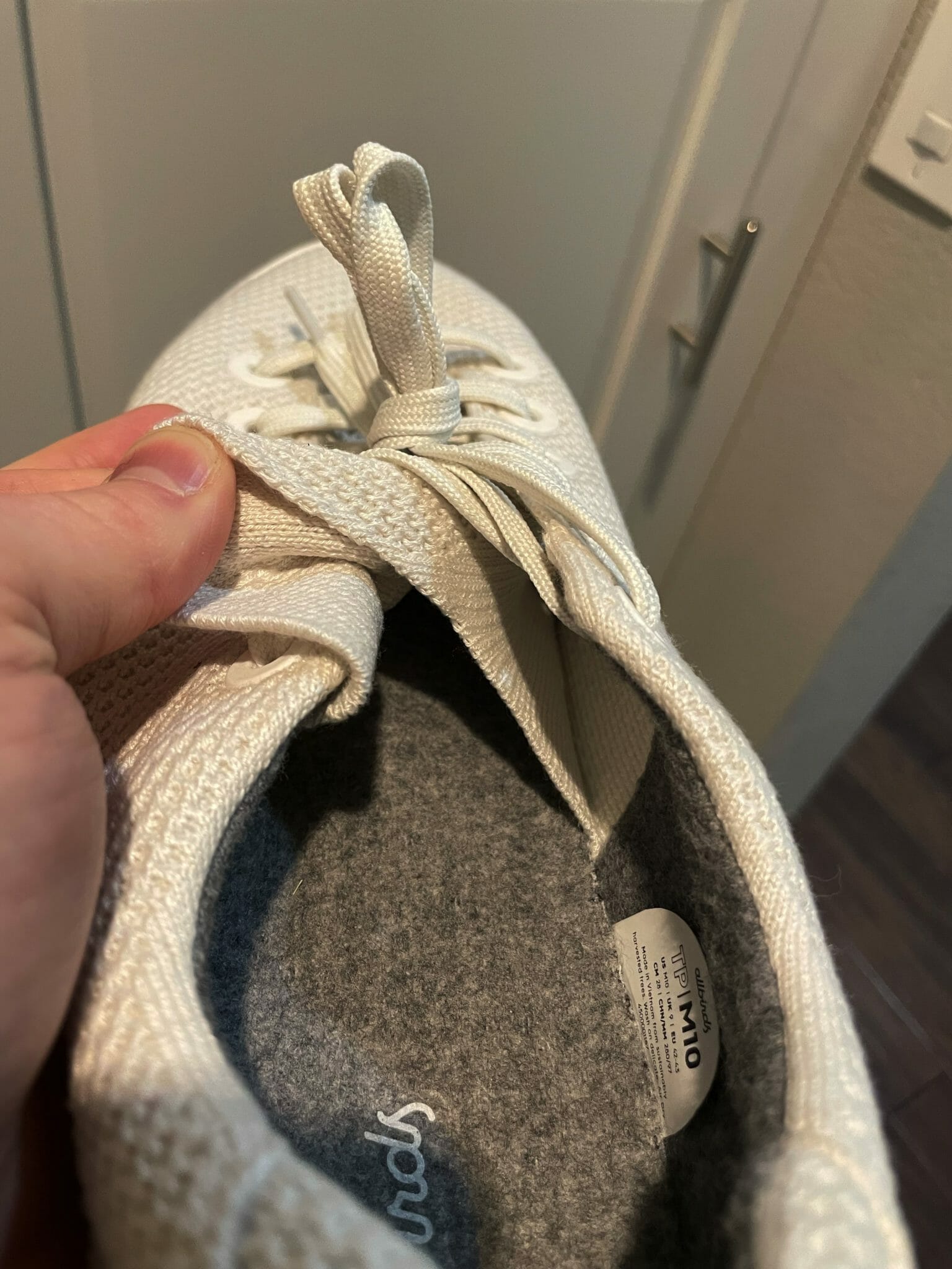 Allbirds Tree Piper Review - The Best Of All The Allbirds?