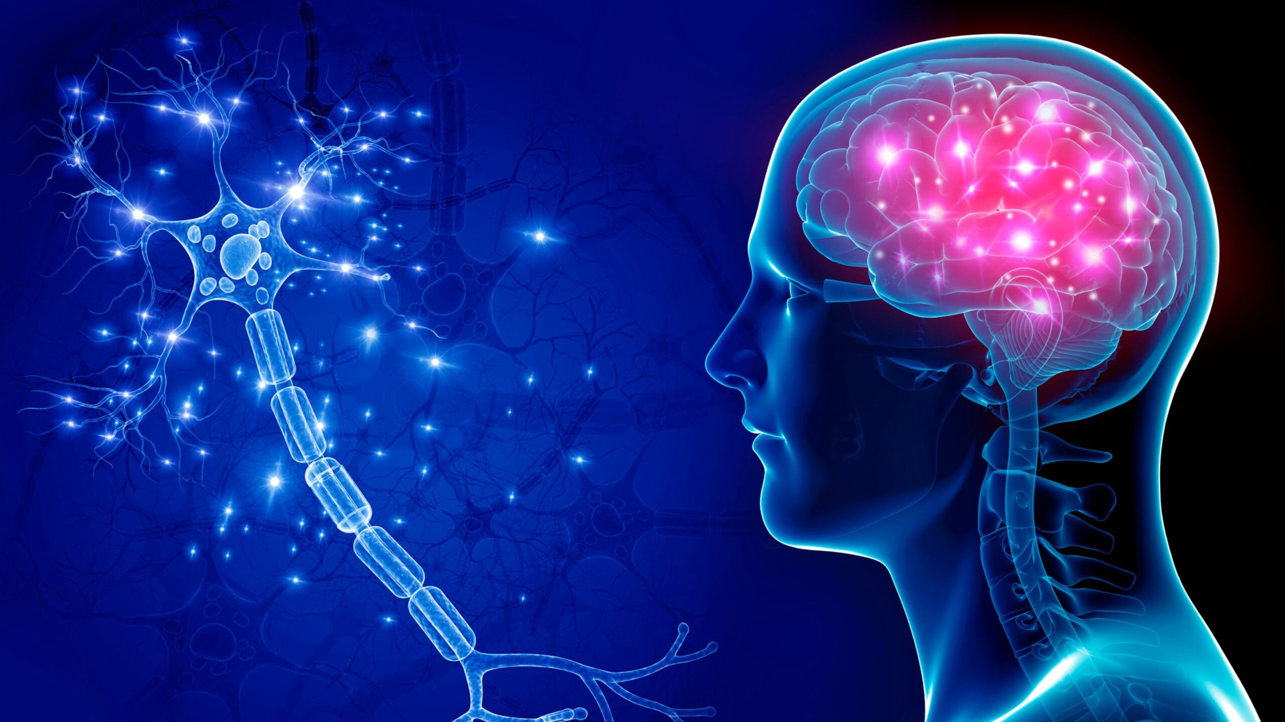 myth busting brands brain scaled